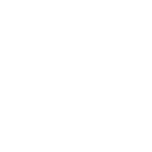 Legend 13